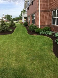 Enhance Your Commercial Landscape Appearance With Mulch