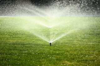 Mowing, Watering, Fertilizing