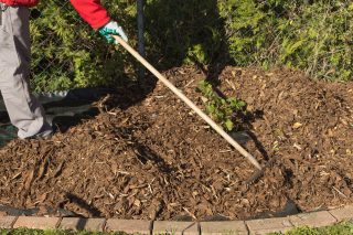Fall Clean-Up- Ensuring Your Outdoor Spaces Are Winter-Ready