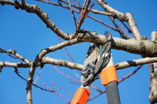 Preparing Your Commercial Property for Winter- Essential Landscape Maintenance Tips