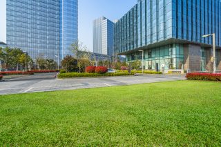Meet Priority Landscape: Your Partner in Professional Landscaping