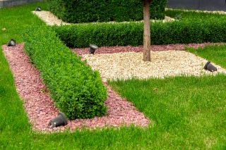 Optimal Lawn Fertilization