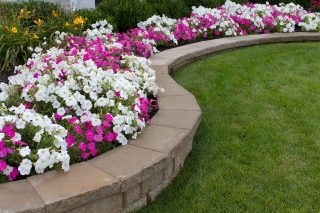Enhancing Your Landscape with Seasonal Color Planning