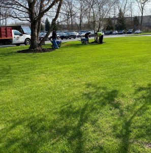 Choosing the Right Landscaping Company for Your Needs