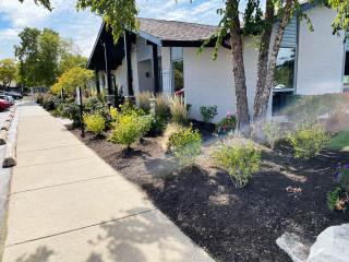 Focusing on Irrigation, Mulch, and Water Efficiency